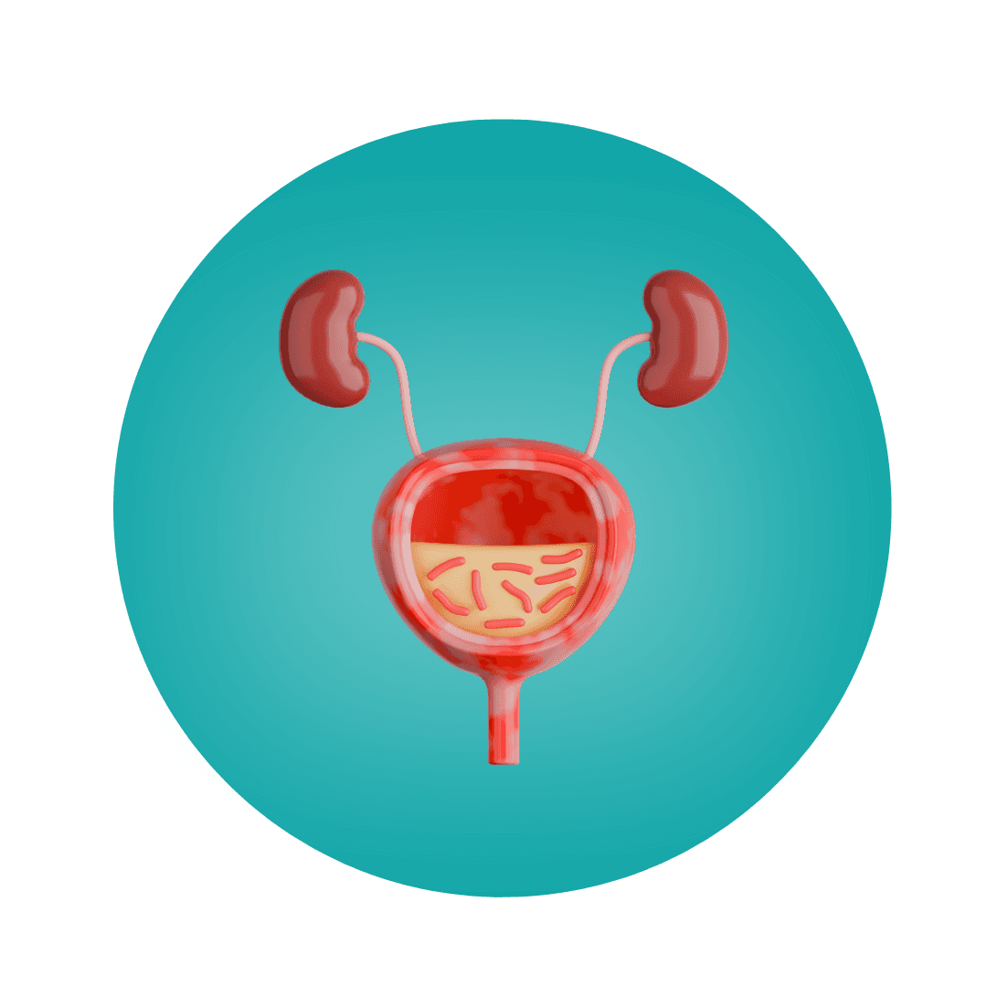 Urologi